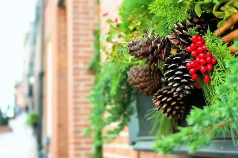 Choinka dla Alergika