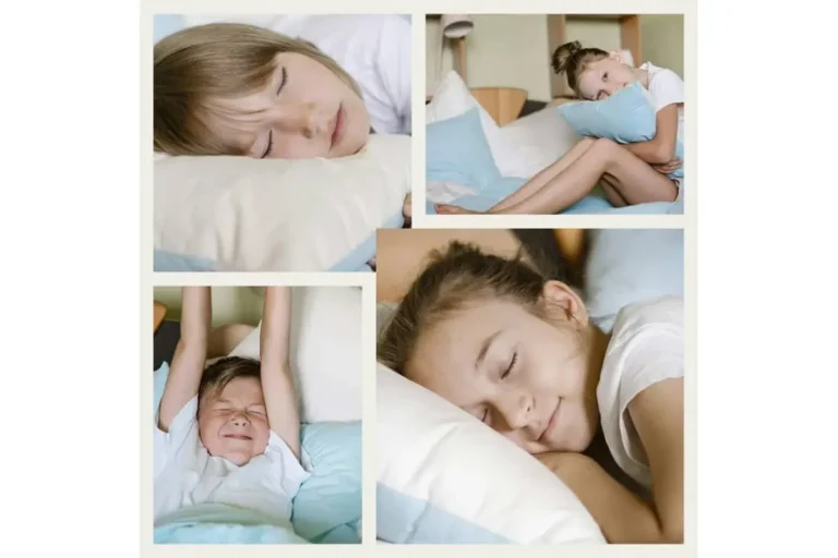 Pokrowiec na Poduszkę SOVA SILVER