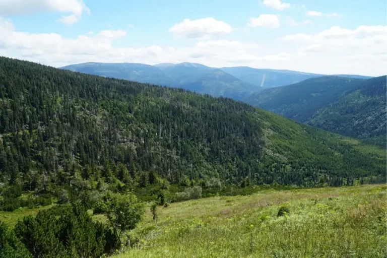 Wakacje pod specjalnym nadzorem