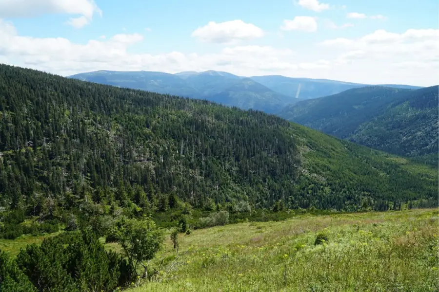 Wakacje pod specjalnym nadzorem